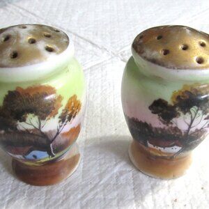 Hand painted Salt & Pepper Shakers MADE IN JAPAN House & Trees Scene
